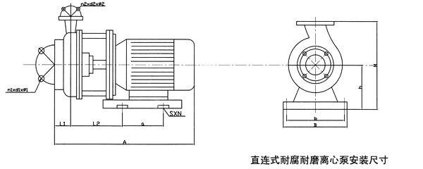 FSB硝酸泵的安裝